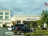 hilton